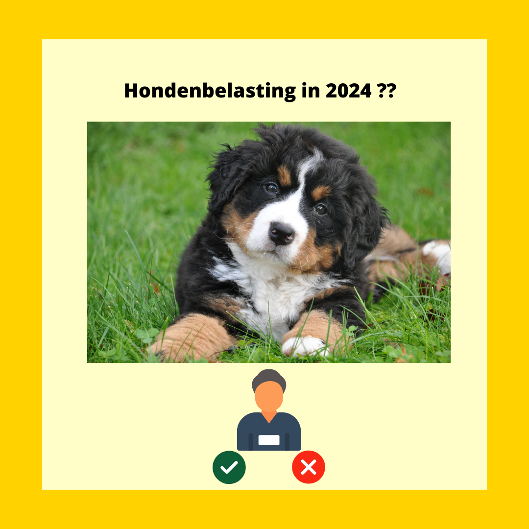 Hondenbelasting 2024